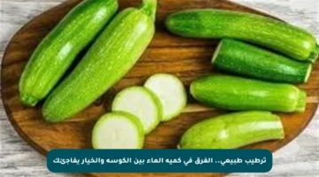 ترطيب طبيعي.. الفرق في كمية الماء بين الكوسة والخيار يفاجئك